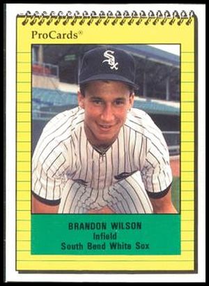 2867 Brandon Wilson